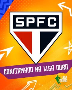 Read more about the article Mirando NBB, São Paulo disputará Liga Ouro de Basquete em 2019