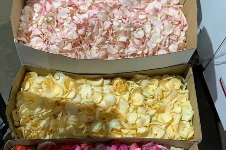 Após polêmica, torcida tricolor planeja recepcionar delegação corintiana com pétalas de rosas no Morumbi